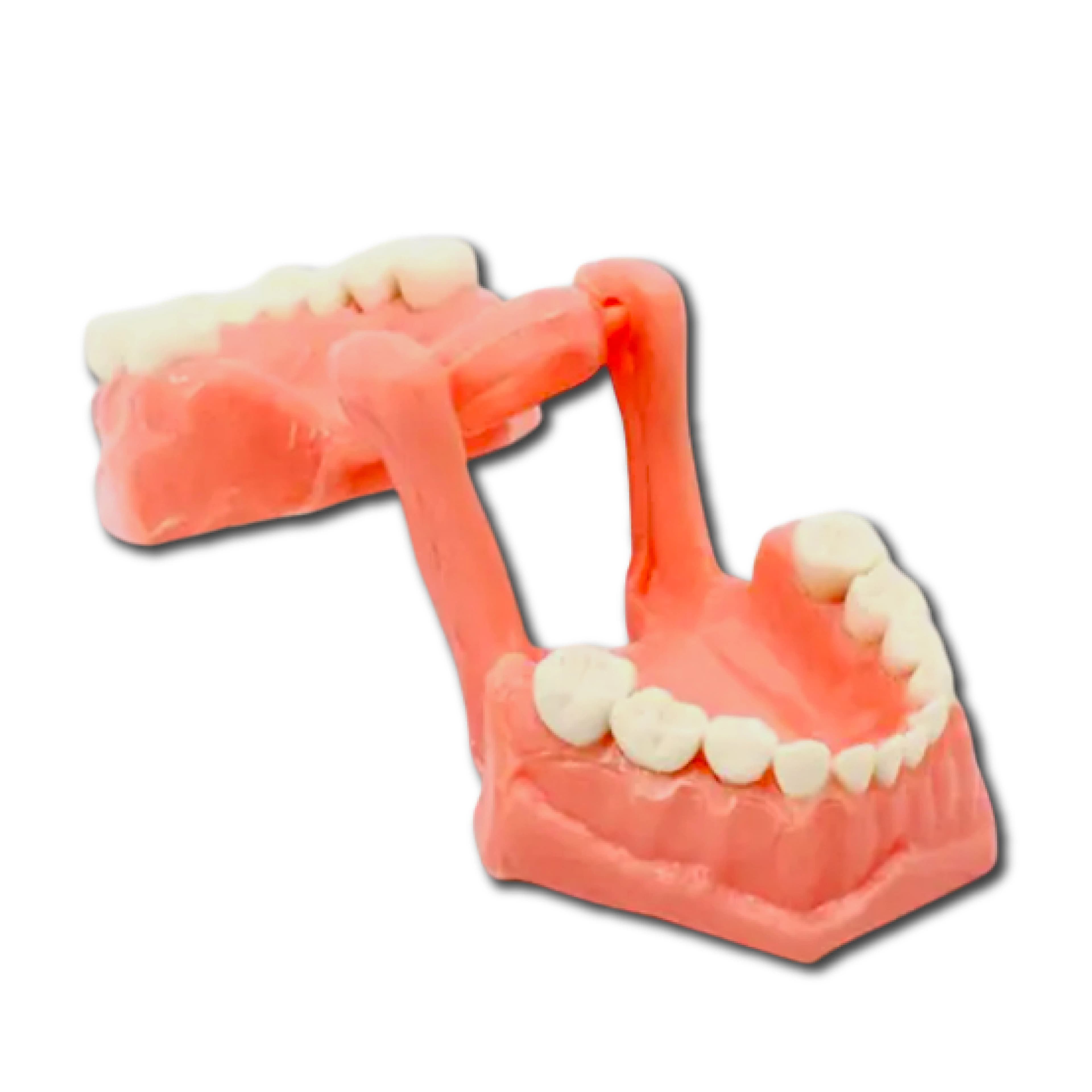 TIPOODONTO ACRILICO INFANTIL